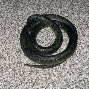 Toy snake